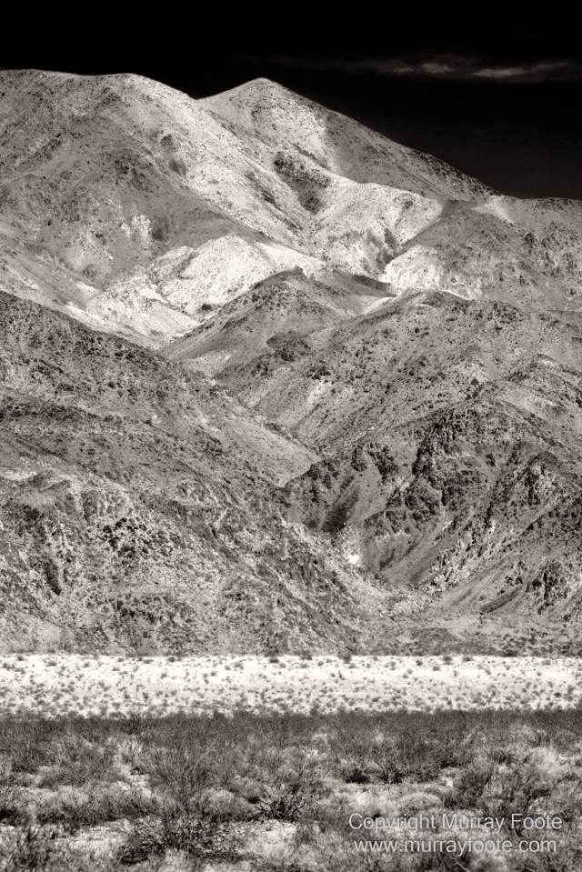 Black and White, Desert, Infrared, Joshua Tree National Park, Landscape, Monochrome, Nature, Photography, Salton Sea, Travel, Wildlife