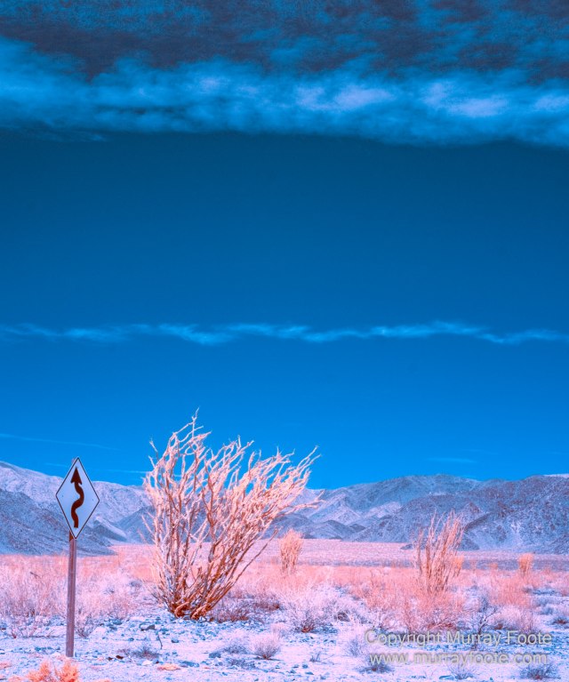 Cholla, Cottonwood Spring, Desert, Hidden Valley, Infrared, Joshua Tree National Park, Jumbo Rocks, Landscape, Nature, Photography, Travel, Wilderness