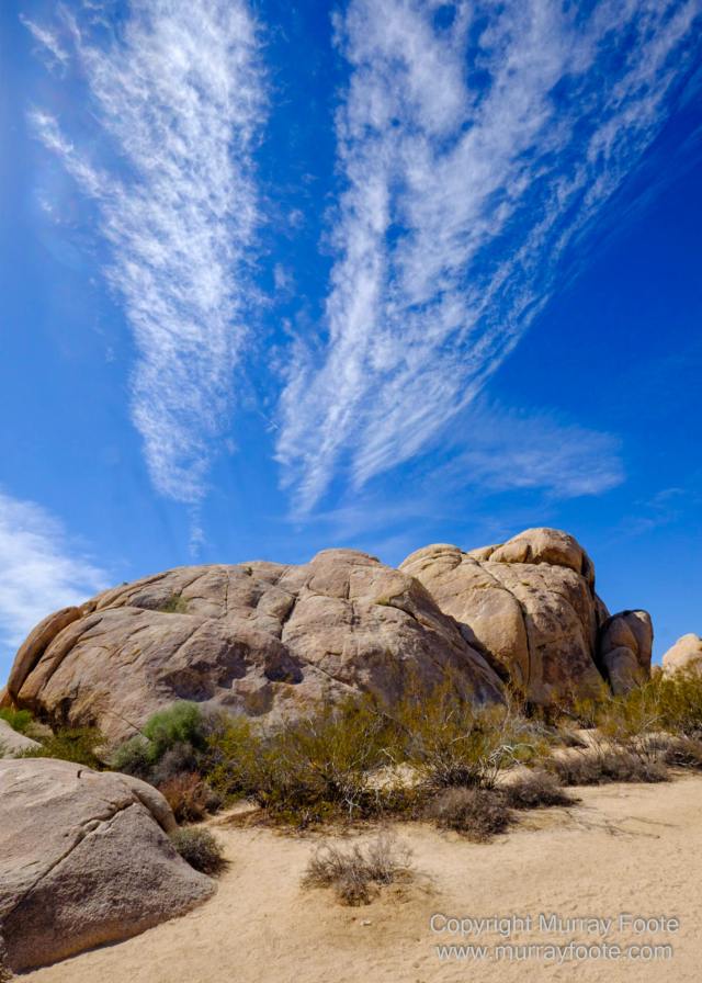Desert, Hidden Valley, Joshua Tree National Park, Jumbo Rocks, Landscape, Nature, Photography, Travel, Wilderness, Wildlife