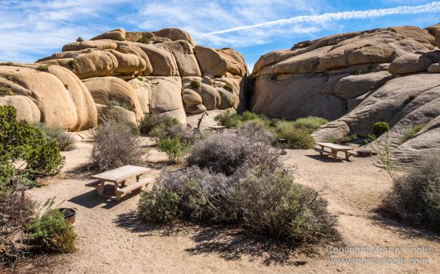 Desert, Hidden Valley, Joshua Tree National Park, Jumbo Rocks, Landscape, Nature, Photography, Travel, Wilderness, Wildlife