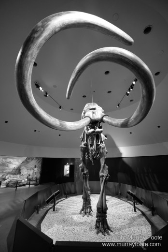 Art, Black and White, Infrared, Landscape, Los Angeles, Los Angeles County Museum of Art, Monochrome, Nature, Photography, Salton Sea, Sculpture, Travel, Wilderness