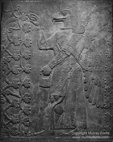 Art, Black and White, Infrared, Landscape, Los Angeles, Los Angeles County Museum of Art, Monochrome, Nature, Photography, Salton Sea, Sculpture, Travel, Wilderness