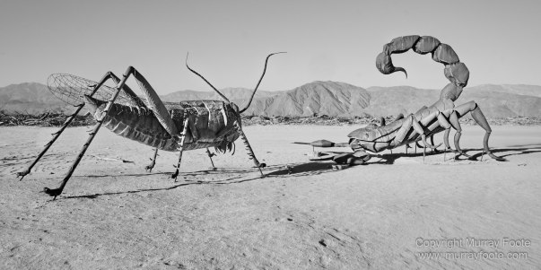 Art, Black and White, Infrared, Landscape, Los Angeles, Los Angeles County Museum of Art, Monochrome, Nature, Photography, Salton Sea, Sculpture, Travel, Wilderness