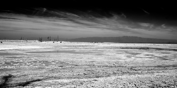 Art, Black and White, Infrared, Landscape, Los Angeles, Los Angeles County Museum of Art, Monochrome, Nature, Photography, Salton Sea, Sculpture, Travel, Wilderness