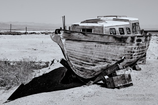 Art, Black and White, Ecology, Infrared, Landscape, Monochrome, Nature, Photography, Salton Sea, Sculpture, Slab City, Travel, Wildlife