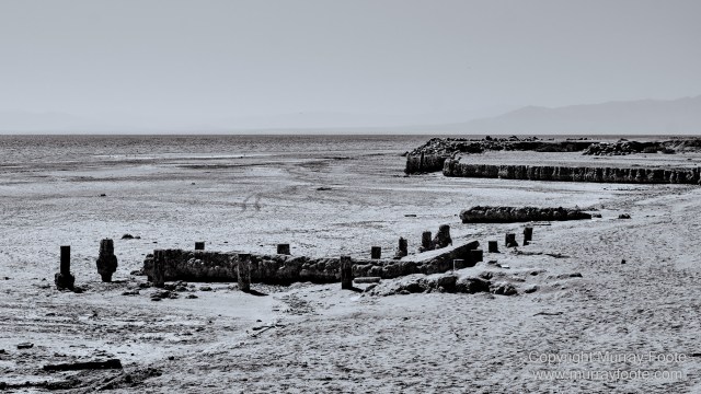 Art, Black and White, Ecology, Infrared, Landscape, Monochrome, Nature, Photography, Salton Sea, Sculpture, Slab City, Travel, Wildlife