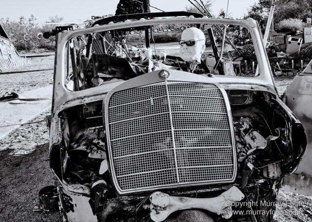 Art, Black and White, Ecology, Infrared, Landscape, Monochrome, Nature, Photography, Salton Sea, Sculpture, Slab City, Travel, Wildlife