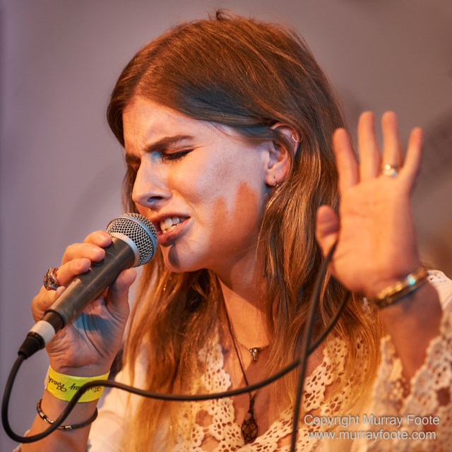 Australia, Blues, Canberra, Live Music, Photography, Travel, Wildlife