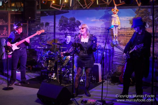 Australia, Blues, Canberra, Live Music, Photography, Travel, Wildlife