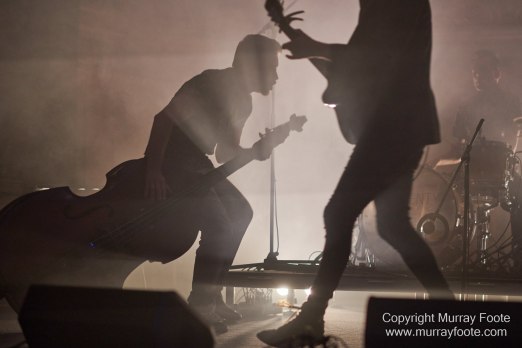 Australia, Blues, Canberra, Live Music, Photography, Travel, Wildlife