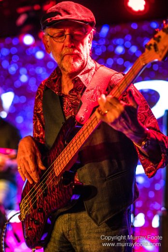 Australia, Blues, Canberra, Live Music, Photography, Travel, Wildlife