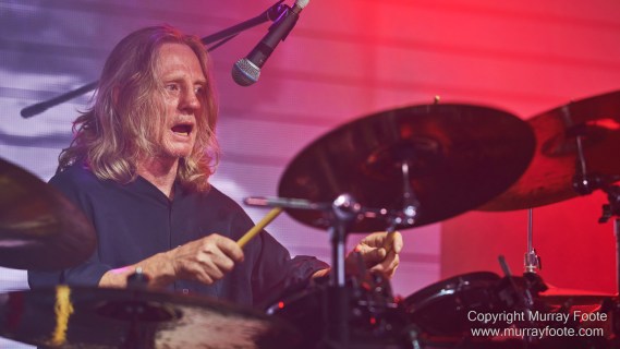 Australia, Blues, Canberra, Live Music, Photography, Travel, Wildlife