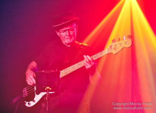 Australia, Blues, Canberra, Live Music, Photography, Travel, Wildlife