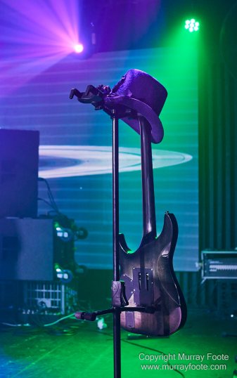 Australia, Blues, Canberra, Live Music, Photography, Travel, Wildlife