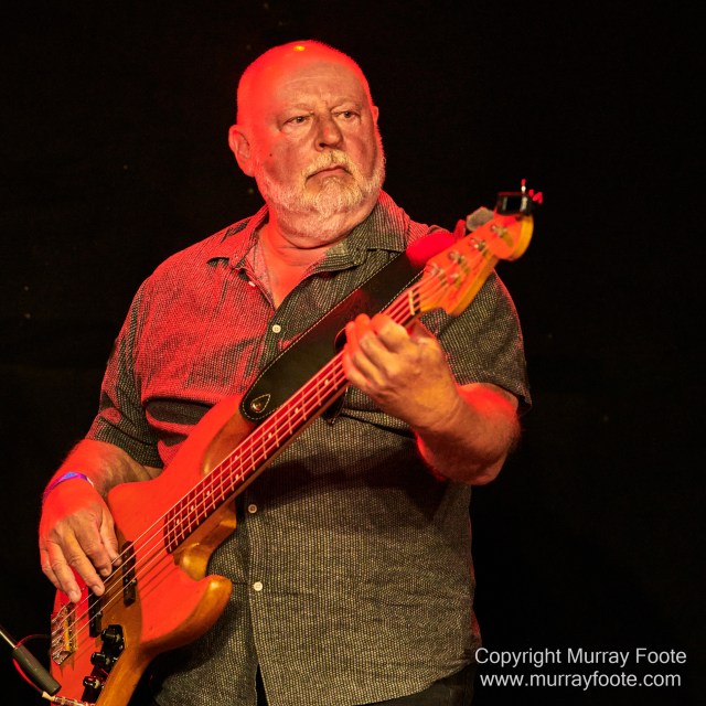 Australia, Blues, Canberra, Live Music, Photography, Travel, Wildlife