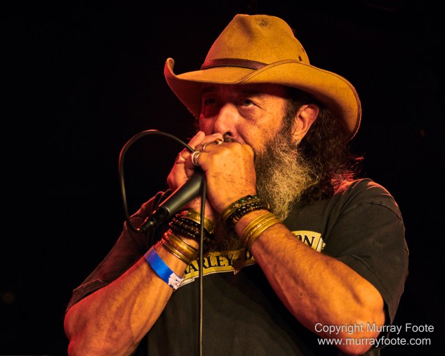 Australia, Blues, Canberra, Live Music, Photography, Travel, Wildlife