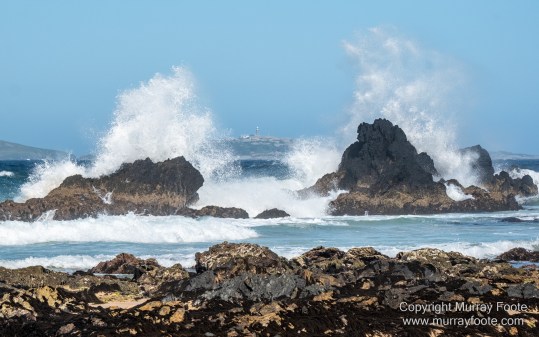 Architecture, Australia, Canberra, Focus stacking, Kangaroos, Landscape, Macro, Nature, New South Wales, Photography, seascape, Table Tennis, Travel, Wildlife