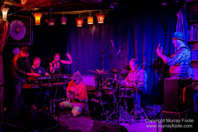 Australia, Blues, Canberra, Live Music, Photography, Travel, Wildlife