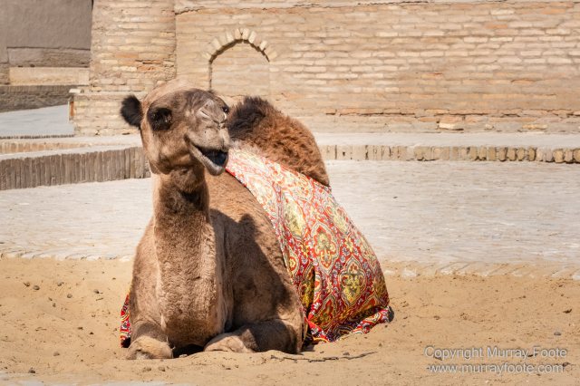 Architecture, Art, Ceramics, History, Juma Mosque, Khiva, Landscape, Photography, Street photography, Toshkhovli Palace, Travel, Uzbekistan