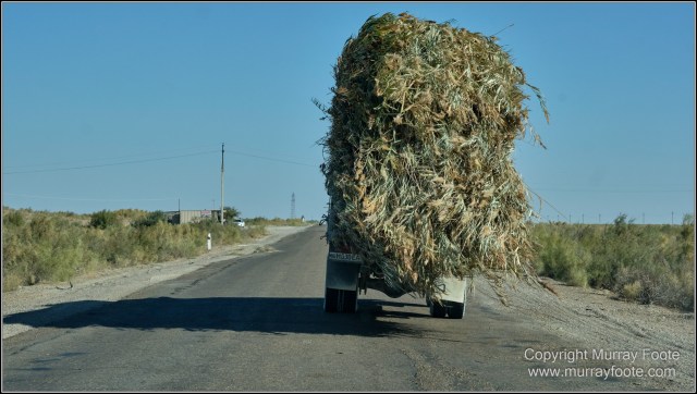 Architecture, Art, Bukhara, Ceramics, History, Landscape, Magoki-Attori Mosque, Nadir Divan Begi Madrassah, Photography, Silk, Street photography, Travel, Uzbekistan