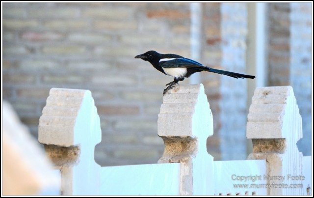 Architecture, Bukhara, Ceramics, Embroidery, Harem, History, Landscape, Photography, Sitorai Mokhi-Khosa Palace, Street photography, Suzani, Textiles, Travel, Uzbekistan