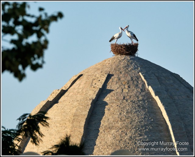 Architecture, Bukhara, Ceramics, Chor Minor Madrassah, History, Landscape, Photography, Street photography, Trading Domes, Travel, Uzbekistan