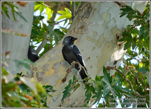 Architecture, Ceramics, Dor-us Siyodat, Dor-ut Tilovat, History, Kok Gumbaz Mosque, Landscape, Photography, Shakhrisabz, Street photography, Travel