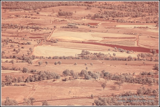 Infrared, Landscape, Mount Tambourine, Nature, Photography, Rainforest, Skywalk, Travel, Wilderness, Wildlife