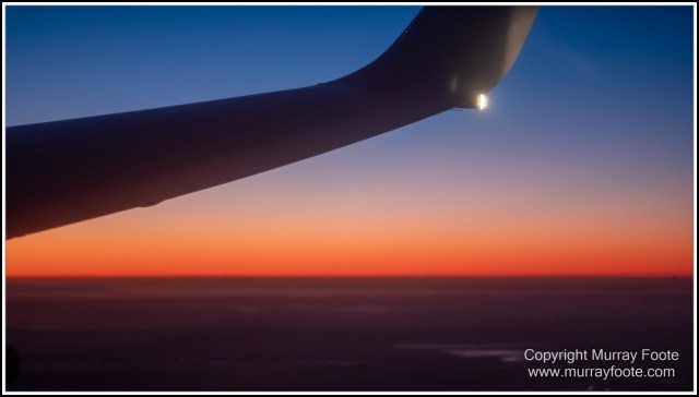 Infrared, Landscape, Mount Tambourine, Nature, Photography, Rainforest, Skywalk, Travel, Wilderness, Wildlife