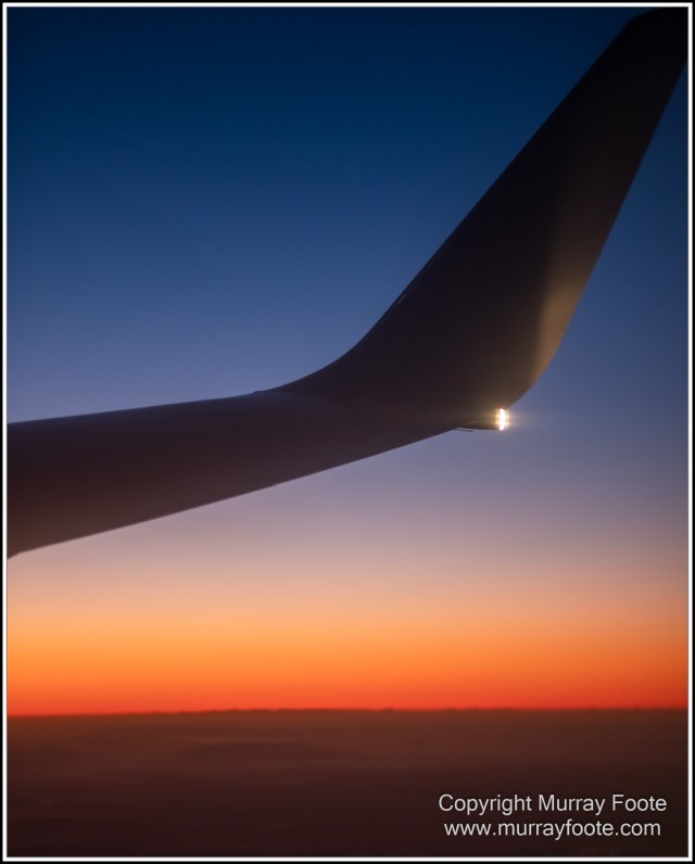 Infrared, Landscape, Mount Tambourine, Nature, Photography, Rainforest, Skywalk, Travel, Wilderness, Wildlife
