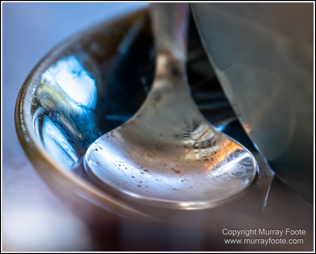 Infrared, Landscape, Mount Tambourine, Nature, Photography, Rainforest, Skywalk, Travel, Wilderness, Wildlife