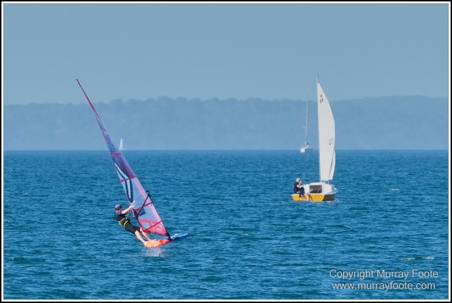 Australia, Brisbane, Landscape, Nature, Photography, Queensland, Reflections, Skywalk, Travel, Wildlife, Yachts