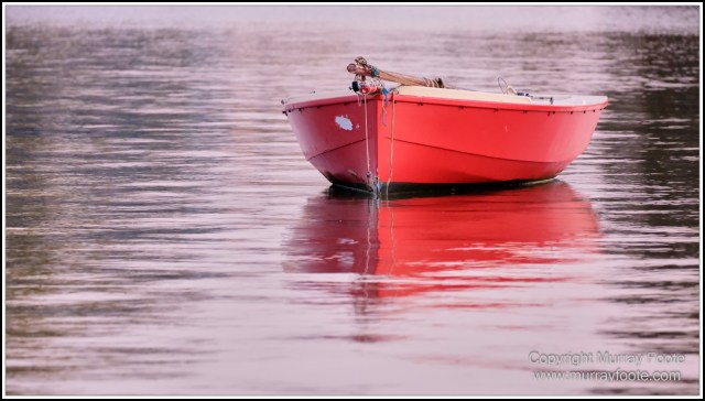 Australia, Brisbane, Landscape, Nature, Photography, Queensland, Reflections, Skywalk, Travel, Wildlife, Yachts