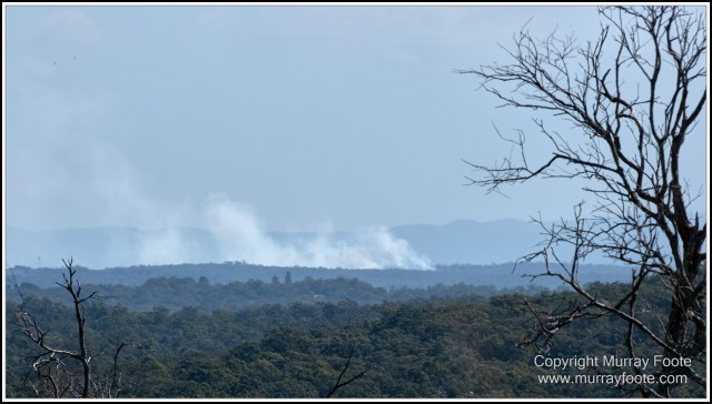 Australia, Brisbane, Landscape, Nature, Photography, Queensland, Reflections, Skywalk, Travel, Wildlife, Yachts