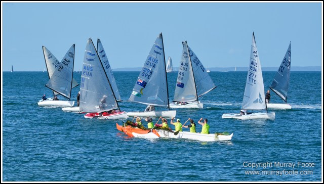 Australia, Brisbane, Landscape, Nature, Photography, Queensland, Reflections, Skywalk, Travel, Wildlife, Yachts
