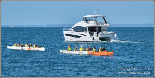 Australia, Brisbane, Landscape, Nature, Photography, Queensland, Reflections, Skywalk, Travel, Wildlife, Yachts