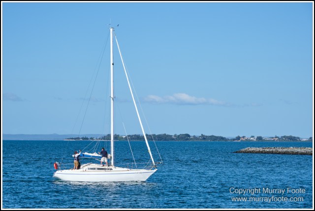 Australia, Brisbane, Landscape, Nature, Photography, Queensland, Reflections, Skywalk, Travel, Wildlife, Yachts