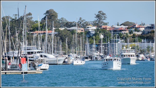 Australia, Brisbane, Landscape, Nature, Photography, Queensland, Reflections, Skywalk, Travel, Wildlife, Yachts