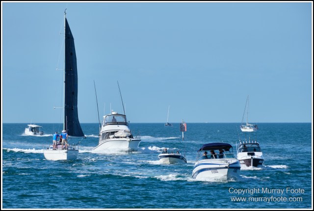 Australia, Brisbane, Landscape, Nature, Photography, Queensland, Reflections, Skywalk, Travel, Wildlife, Yachts