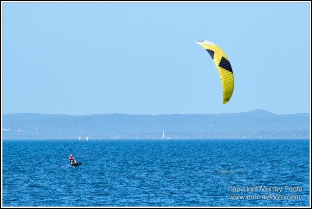 Australia, Brisbane, Landscape, Nature, Photography, Queensland, Reflections, Skywalk, Travel, Wildlife, Yachts
