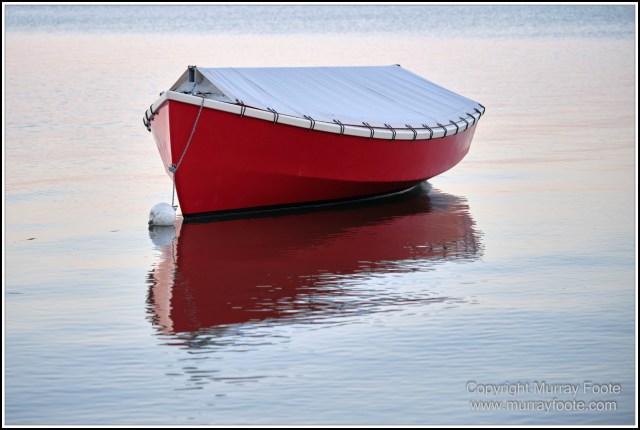Australia, Brisbane, Landscape, Nature, Photography, Queensland, Reflections, Skywalk, Travel, Wildlife, Yachts