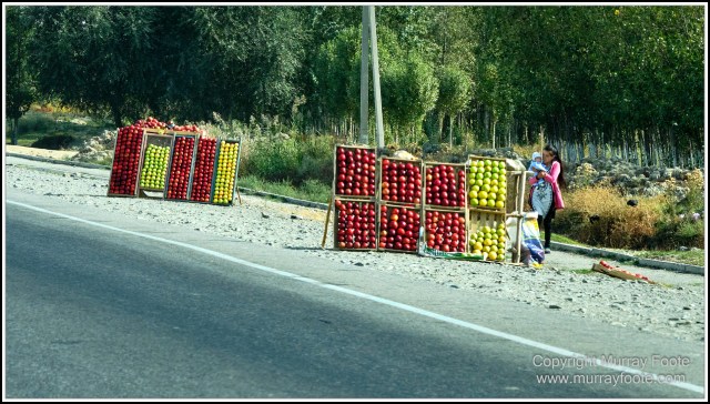 Landscape, Photography, Samarkand, Street photography, Tashkent, Travel, Uzbekistan