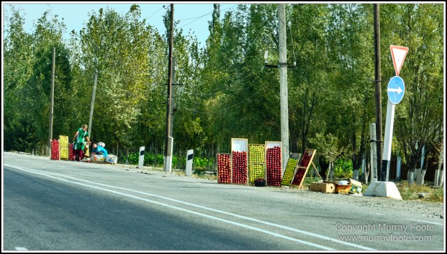 Landscape, Photography, Samarkand, Street photography, Tashkent, Travel, Uzbekistan