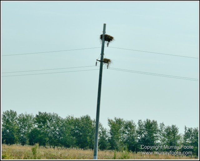 Landscape, Photography, Samarkand, Street photography, Tashkent, Travel, Uzbekistan