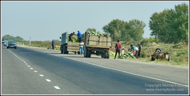Landscape, Photography, Samarkand, Street photography, Tashkent, Travel, Uzbekistan