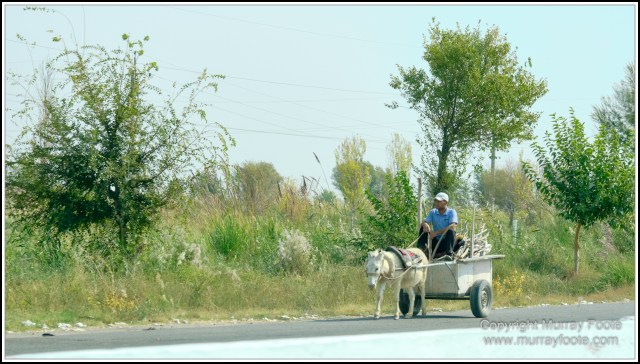 Landscape, Photography, Samarkand, Street photography, Tashkent, Travel, Uzbekistan