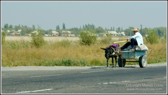 Landscape, Photography, Samarkand, Street photography, Tashkent, Travel, Uzbekistan