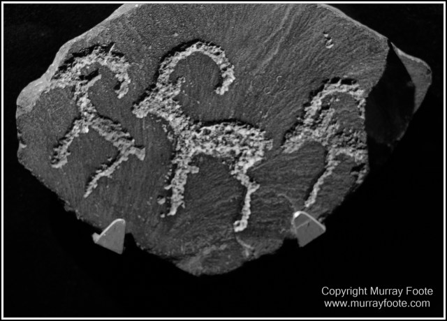 Archaeology, Art, Ceramics, History, Landscape, Photography, Tashkent, Travel, Uzbekistan.