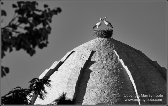 Architecture, Black and White, Bukhara, History, Landscape, Monochrome, Photography, Street photography, Travel, Uzbekistan
