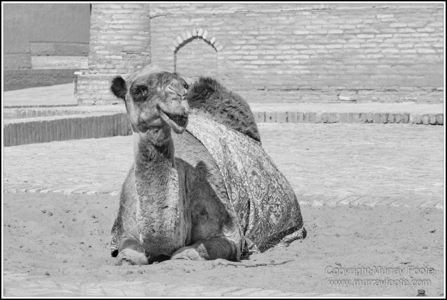 Architecture, Black and White, Khiva, Landscape, Monochrome, Photography, Street photography, Travel, Uzbekistan